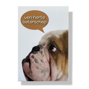 Van harte beterschap | Beterschap wenskaart | Hond