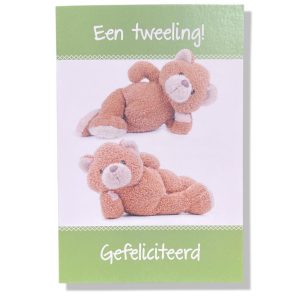 Een Tweeling Gefeliciteerd! | Geboorte wenskaart | 11x17cm | Tweeling