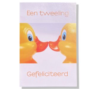 Een Tweeling Gefeliciteerd | Geboorte wenskaart | 11x17cm | Tweeling