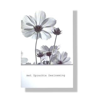 Met Oprechte Deelneming | Condoleance wenskaart | 11x17cm