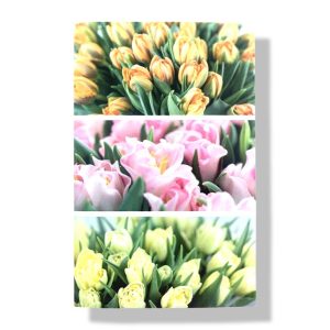 Blanco wenskaart | Bloemen | 11×17