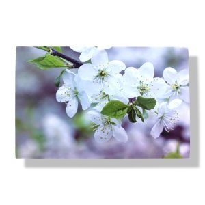 Blanco wenskaart | Witte bloemen | 11×17
