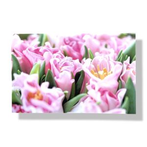 Blanco wenskaart | Roze Bloemen | 11×17