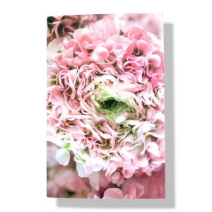 Blanco wenskaart | Bloemen | Hortensia | 11×17