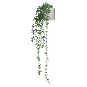 EUCALYPTUS CLIMB - Kunstplant